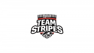 team-stripes-nl-logo-website